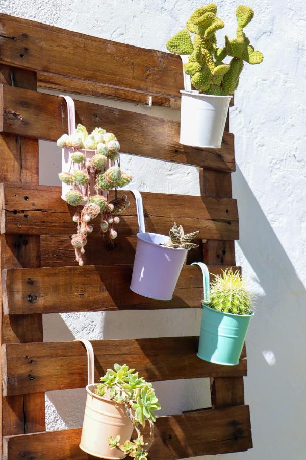 El Patio De Los Naranjos Guadalupe  Ngoại thất bức ảnh