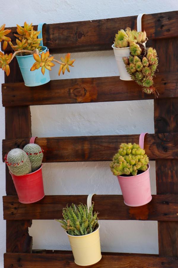 El Patio De Los Naranjos Guadalupe  Ngoại thất bức ảnh